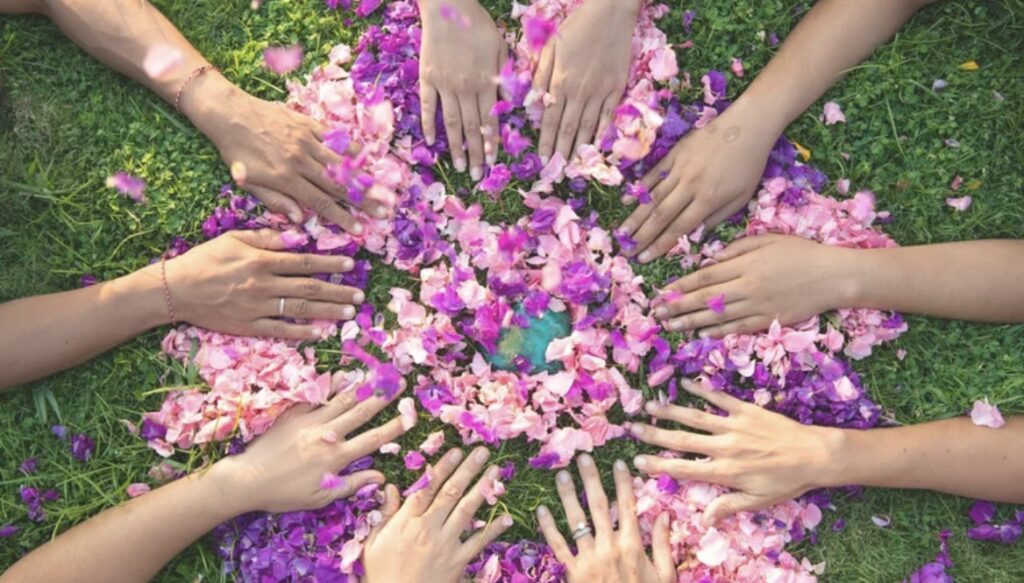 The programs featured image